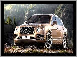 Bentley Bentayga, Przodem