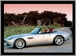 BMW Z8