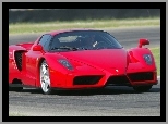 Ferrari Enzo, F60