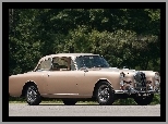 Alvis TE21 1965